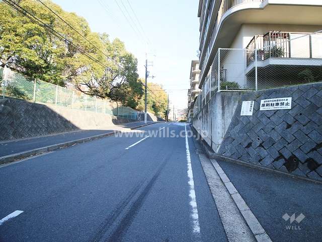 敷地西側の前面道路（南から）