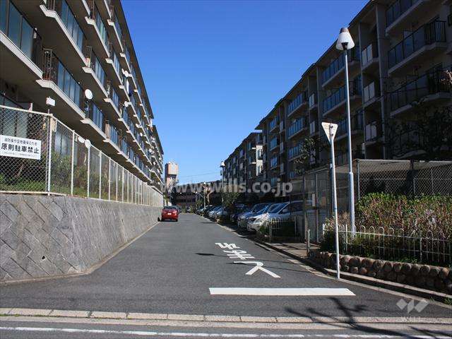 敷地北側の前面道路