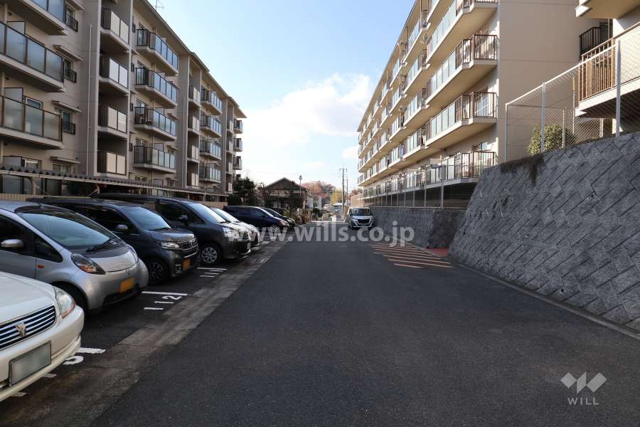 敷地北側の前面道路(東側から)