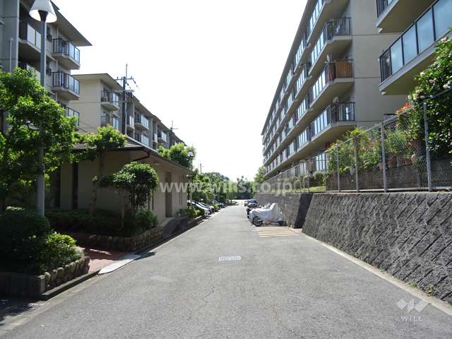 敷地北側の前面道路