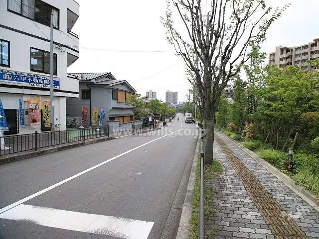 敷地東側の前面道路（北側から）