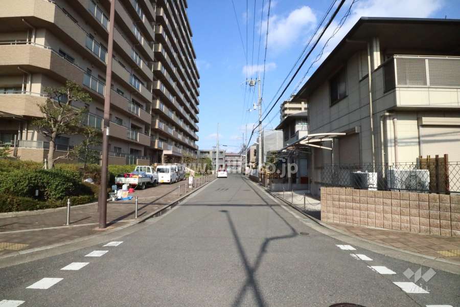 敷地東側の前面道路