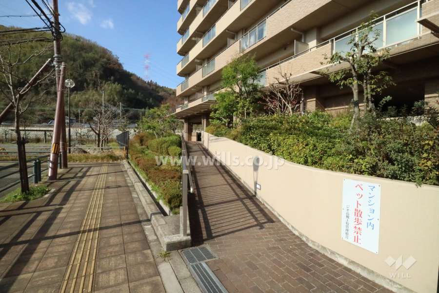 駐輪場へのアプローチ