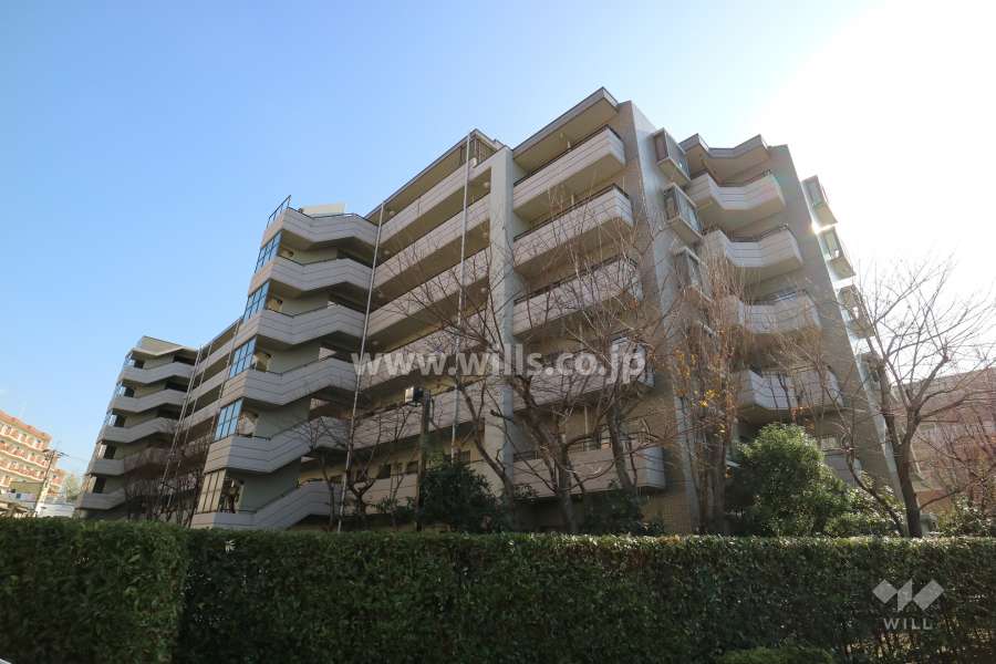 ステイツ高槻玉川新町の外観（北西側から）２