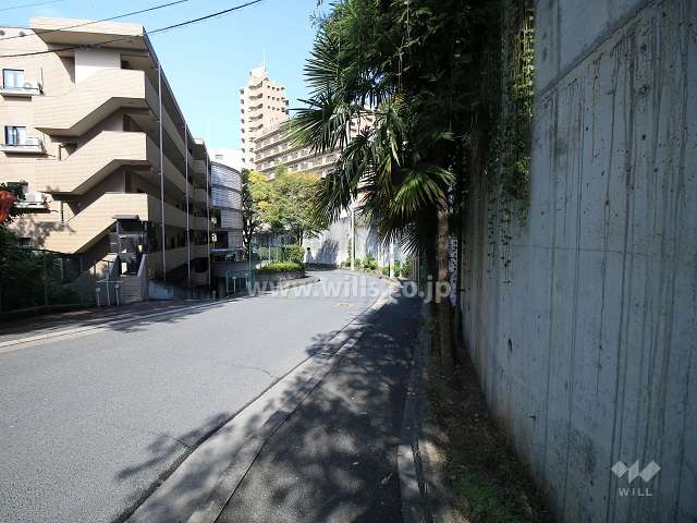敷地東側の前面道路（南側から)
