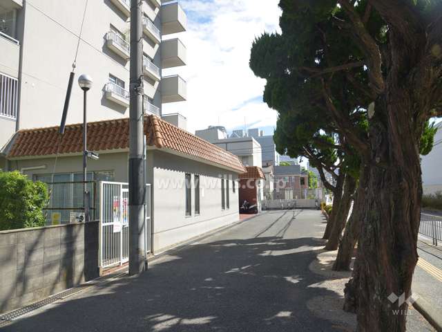前面道路とマンション建物一部