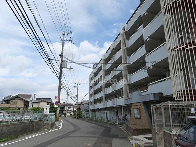 敷地北側の前面道路。