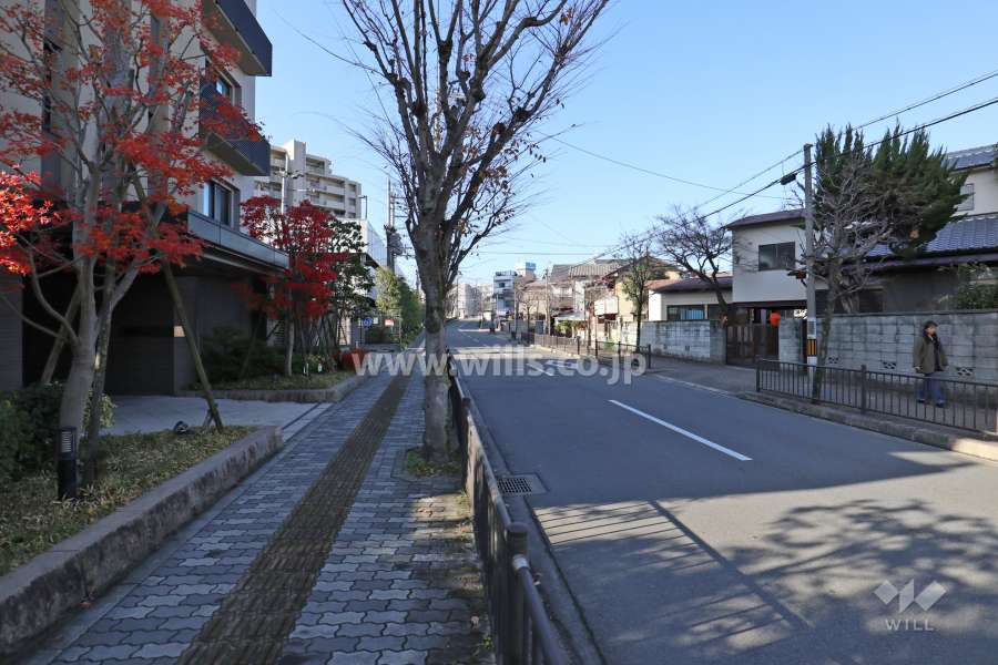 敷地北東側の前面道路(南東側から)