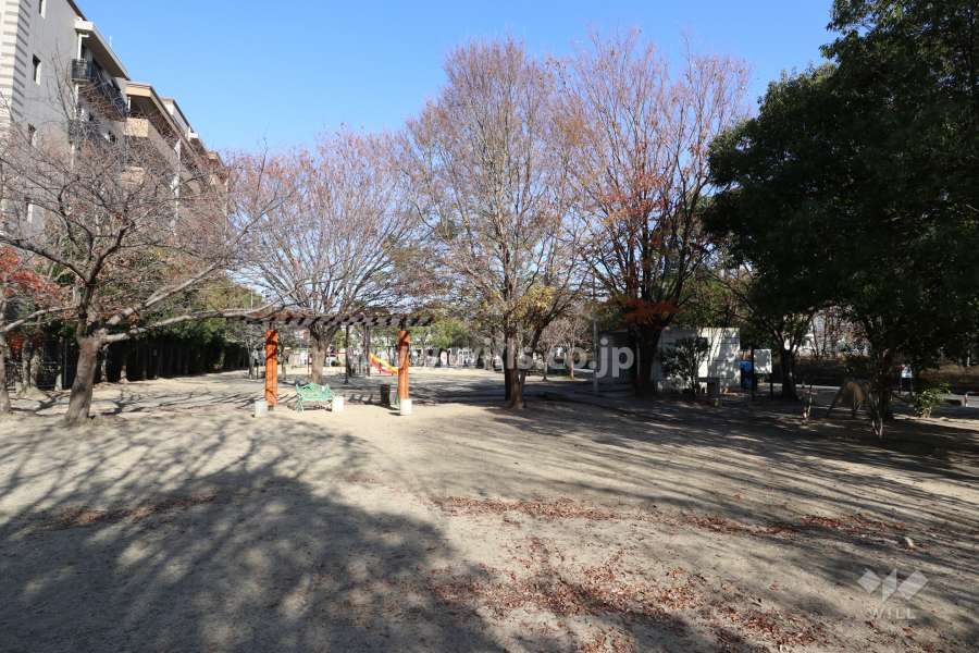 敷地南東側に隣接する紫町公園