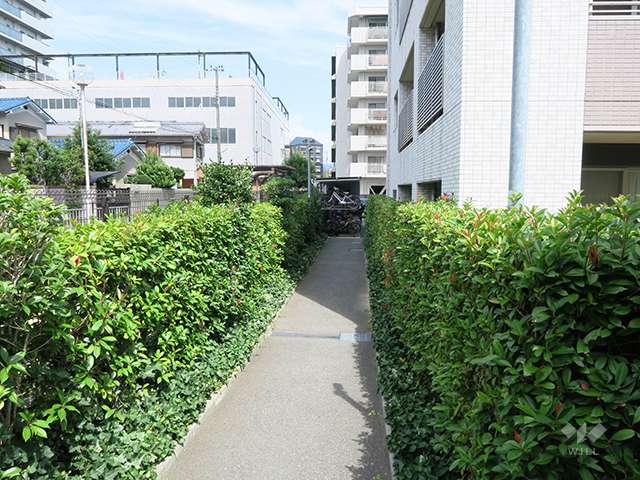 駐輪場へのアプローチ