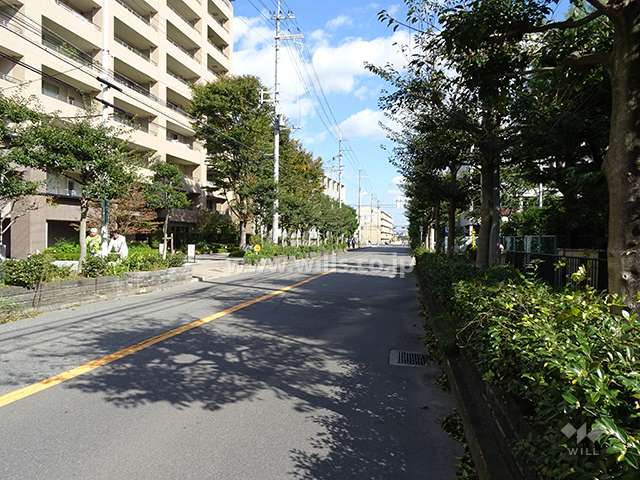 敷地南側の前面道路