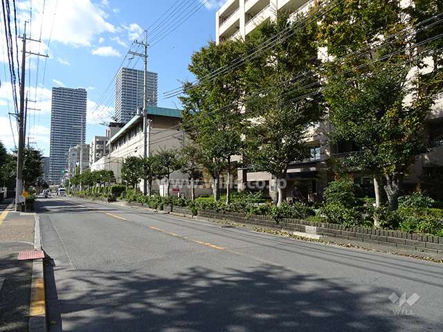 前面道路は街路樹が並ぶ通りです。
