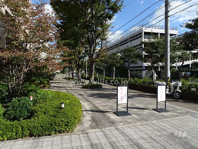 道路沿いには広い歩道が設けられています。
