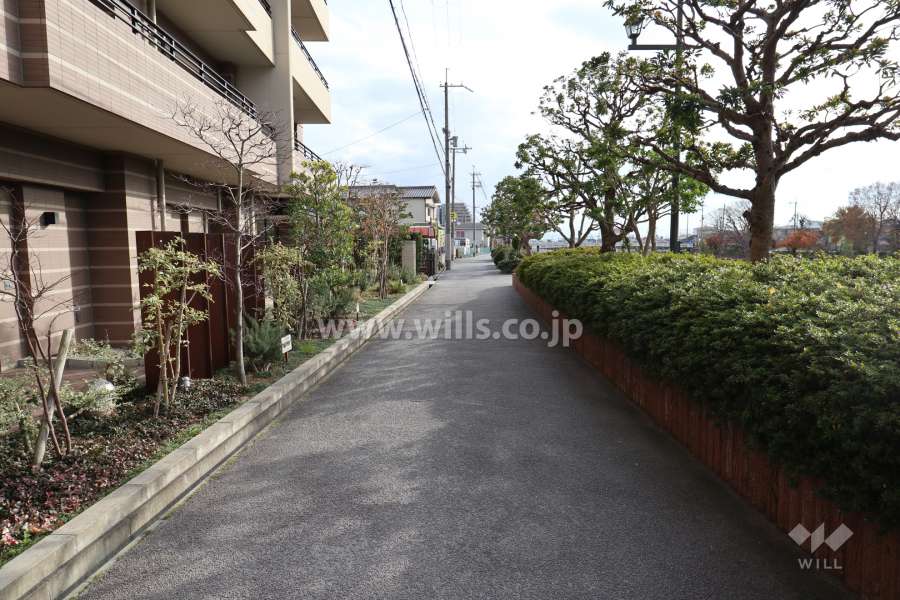 敷地西側の前面道路（北側から）