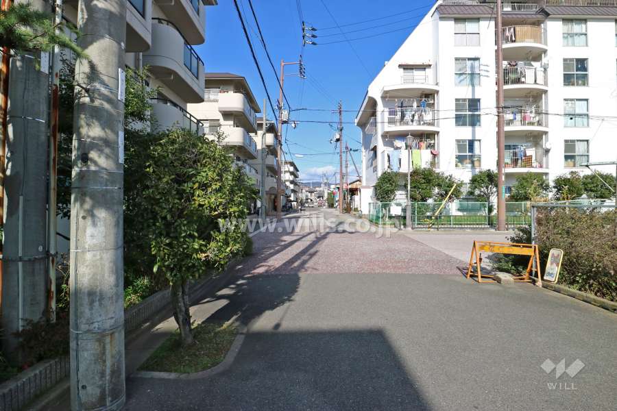 敷地東側の前面道路(南側から)