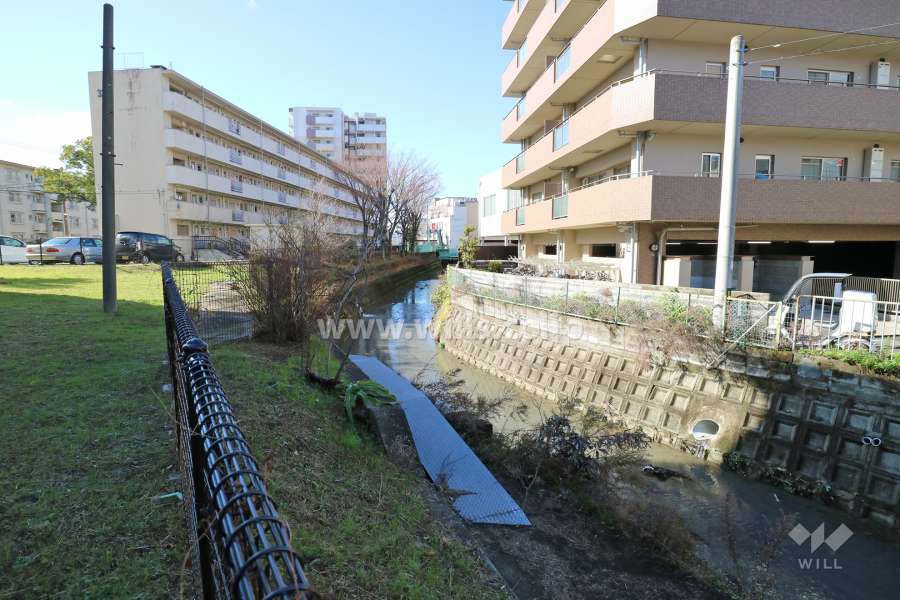 敷地の南側には水路があります。