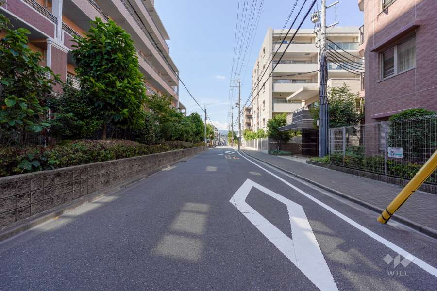 敷地西側の前面道路（南側から）