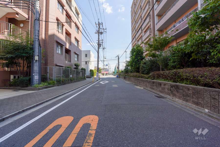 敷地西側の前面道路（北側から）