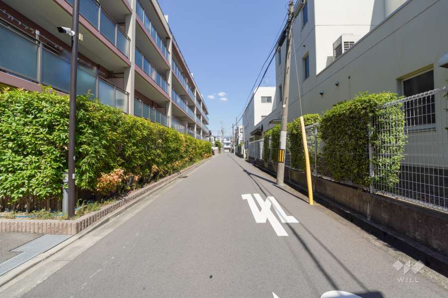 敷地南側の前面道路（西側から）
