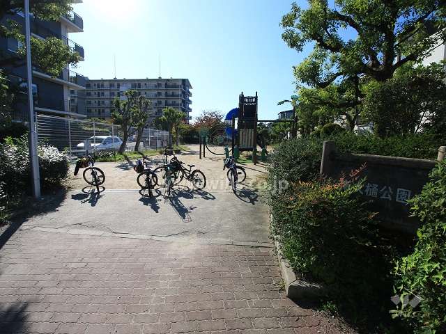 敷地に隣接する南大樋公園（北から）
