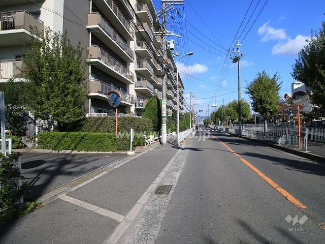 敷地東側の前面道路（南から）