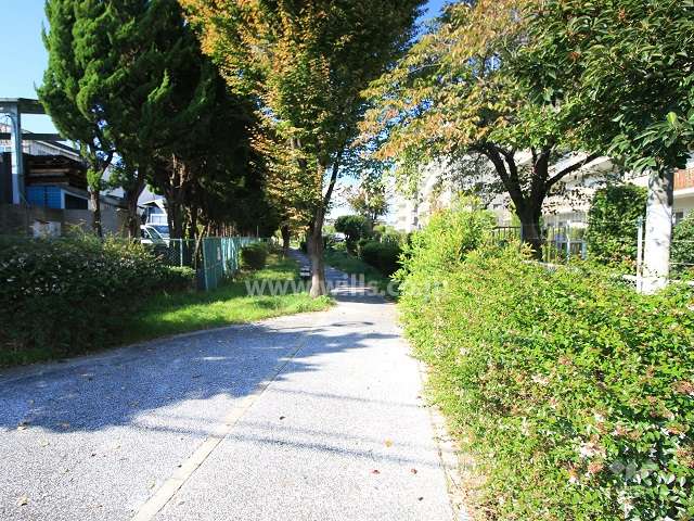 敷地に隣接する大樋公園へ通じる遊歩道