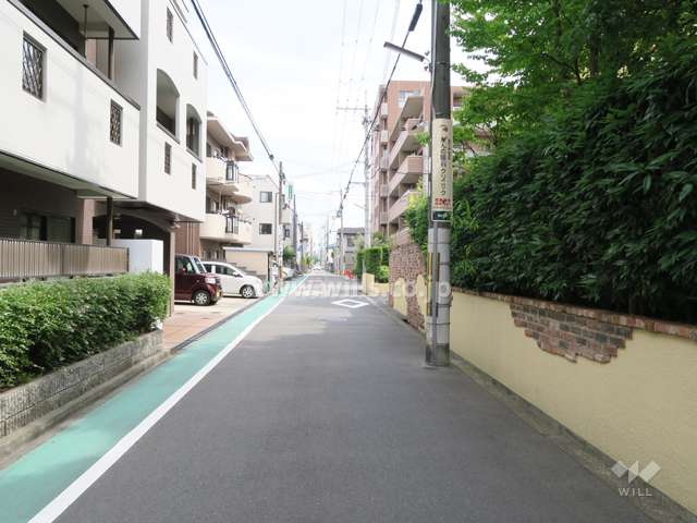敷地西側の前面道路（北側から）