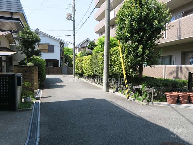 敷地南側の前面道路（東側から）