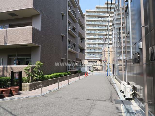 敷地東側の前面道路（南側から）