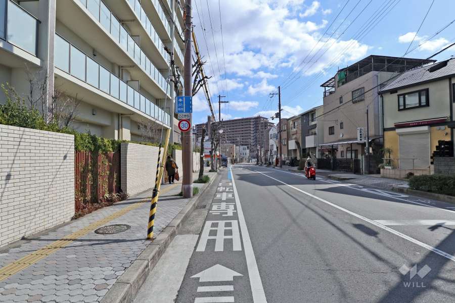 敷地南側の前面道路(西側から)