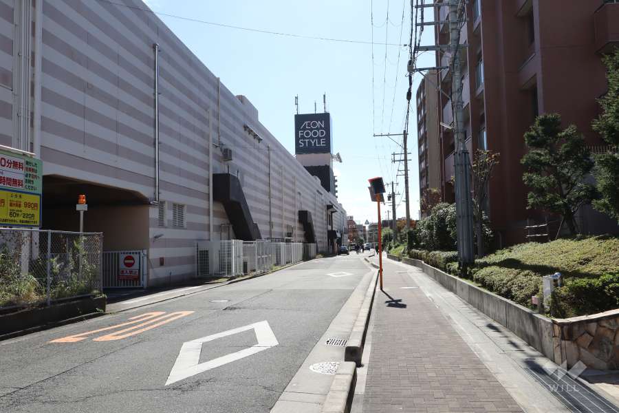 敷地東側の前面道路（北側から）