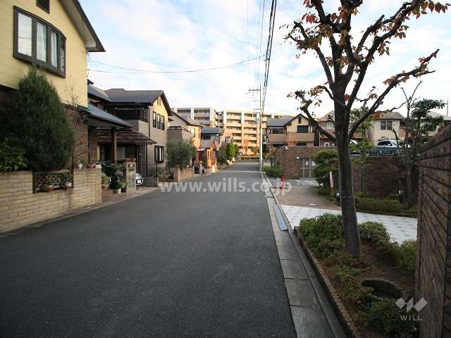敷地西側の前面道路（南から)