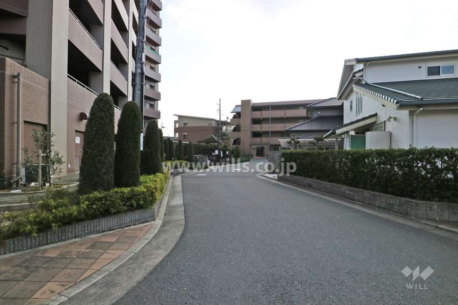 敷地西側の前面道路