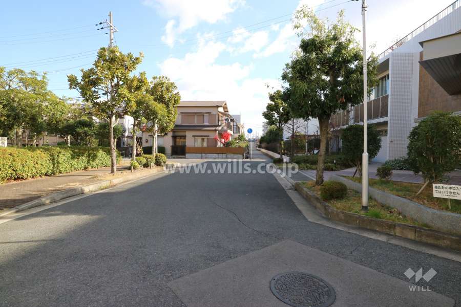 敷地北側の前面道路(西側から)