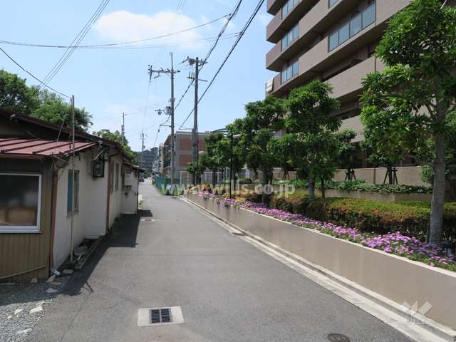 前面道路とマンション建物一部-(2)
