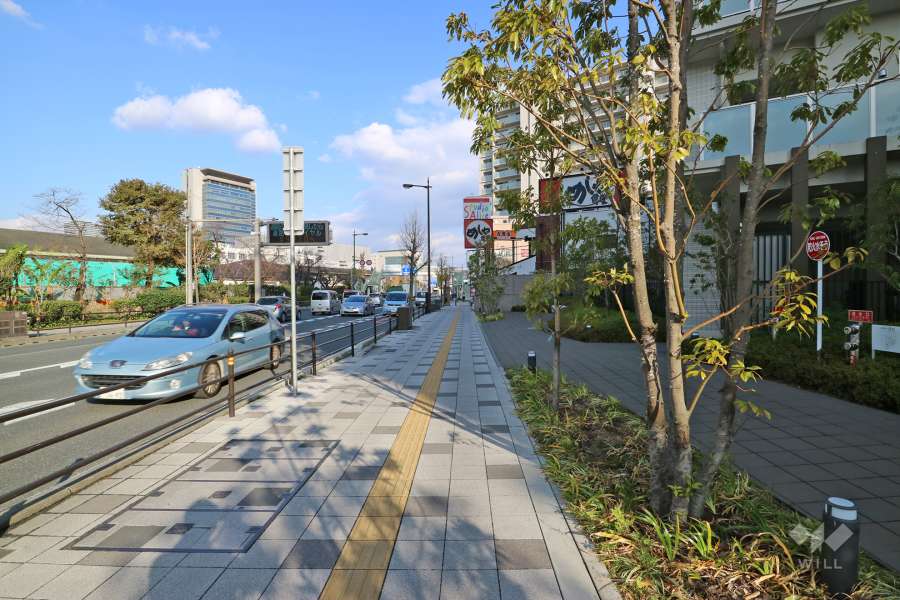 敷地北側の前面道路