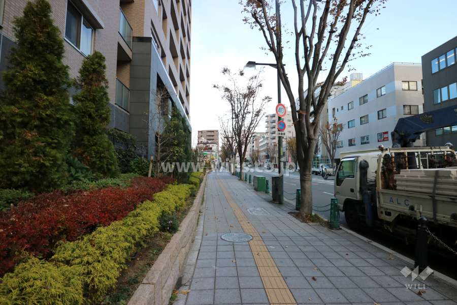 敷地東側の前面道路