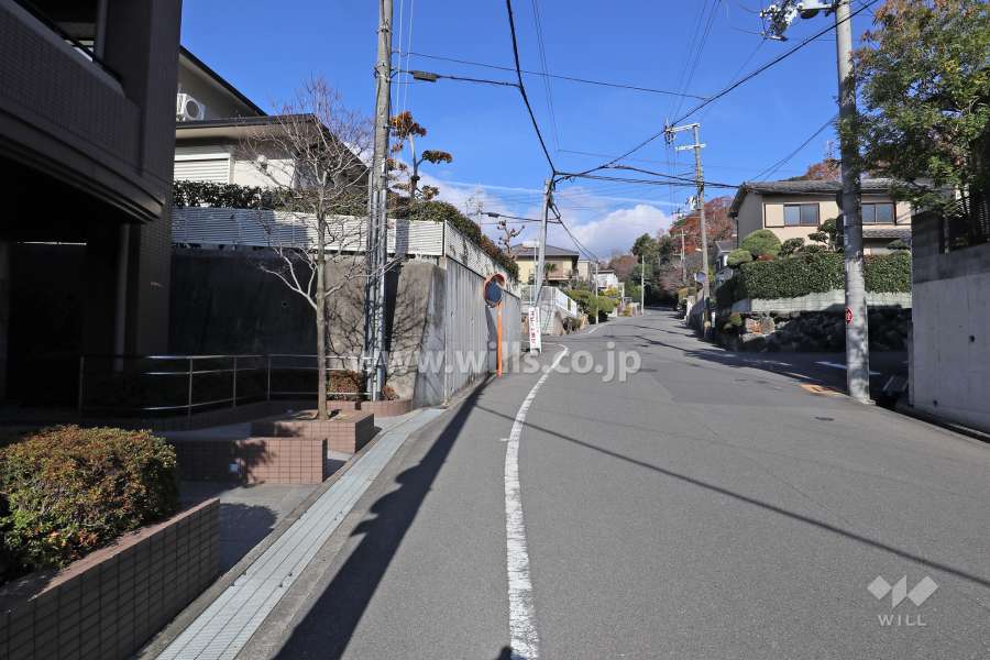 敷地東側の前面道路(南側から)