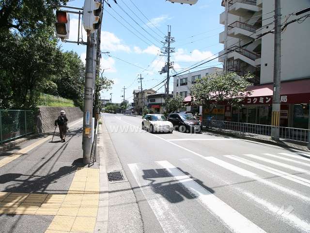 敷地北側の前面道路（西側から）