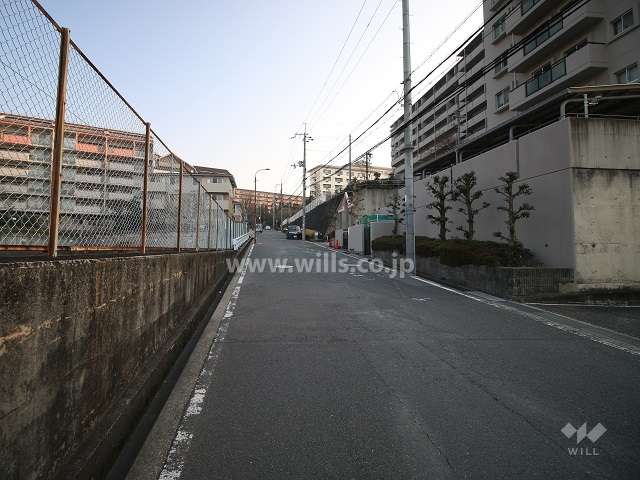 敷地西側の前面道路（南側から）