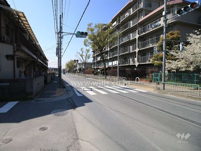 敷地東側の前面道路（北側から）