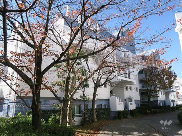 高槻阿武山一番街110号棟の外観（東側から）