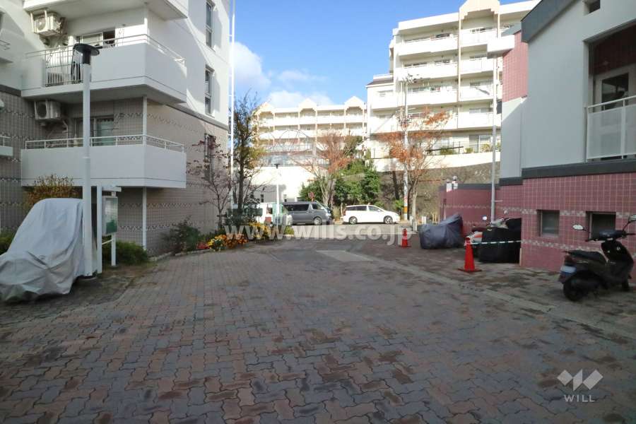 敷地西側の前面道路