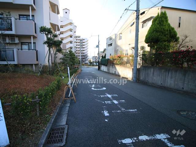敷地西側の前面道路（北側から）