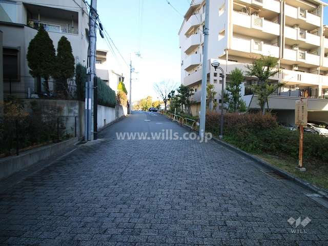 敷地西側の前面道路（南側から）