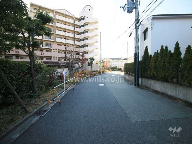 敷地西側の前面道路（北側から）