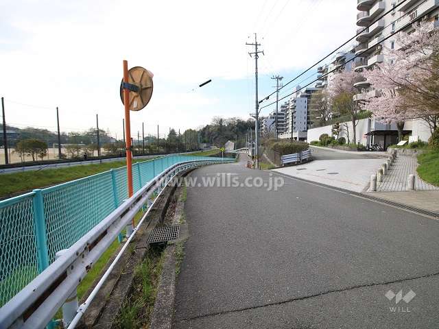 敷地東側の前面道路（北側から）