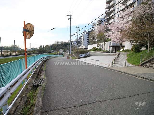 敷地東側の前面道路（北側から）