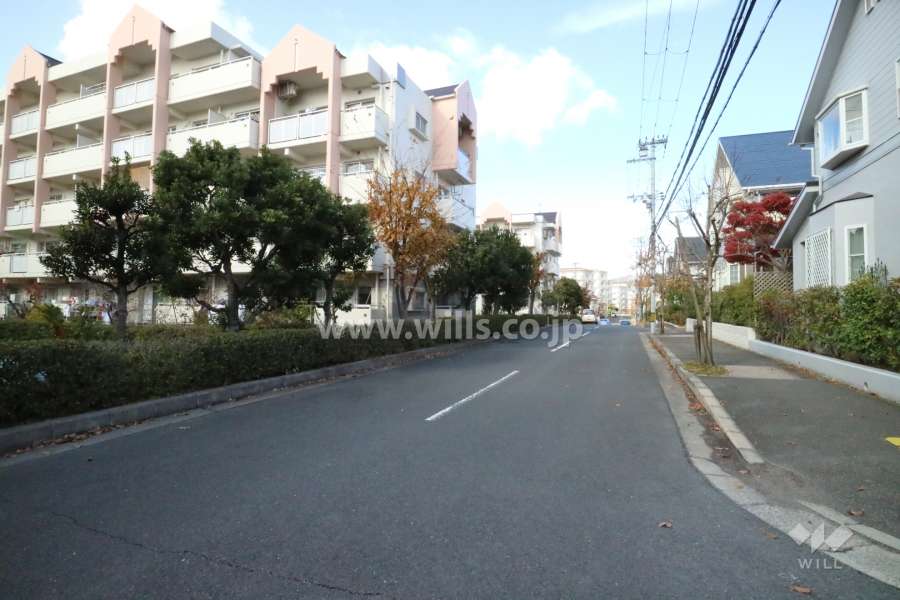 敷地東側の前面道路