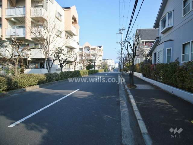 敷地西側の前面道路（南側から）